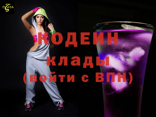 мдпв Богородицк