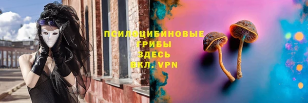 прущий лед Богданович