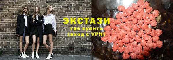 мдпв Богородицк