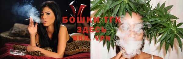 мдпв Богородицк